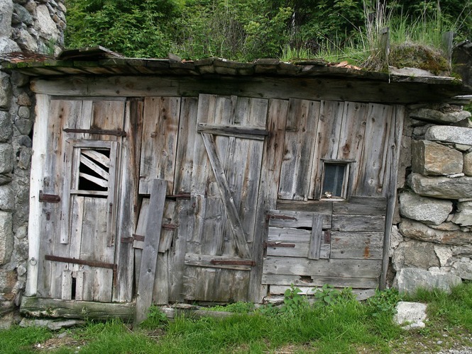 Shed Need Replacing or Repair? Don't Wait Until Your Shed's Dead